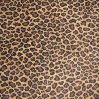 Cheetah print wallpaper