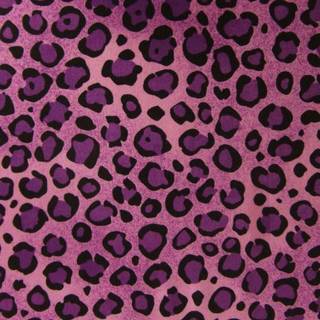 Cheetah print wallpaper
