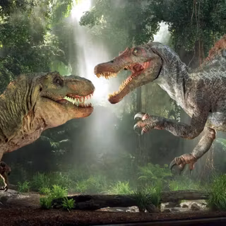 T rex dinosaur wallpaper