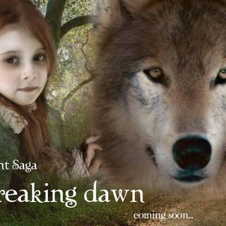 Twilight jacob wolf wallpaper