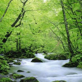 Beautiful nature love wallpaper