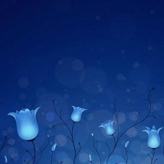 Dark blue color wallpaper