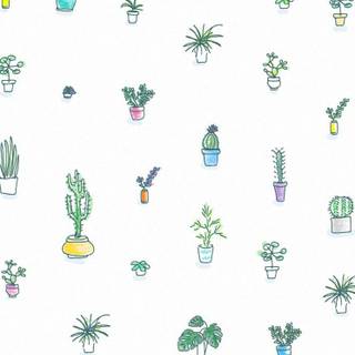 Kaktus wallpaper