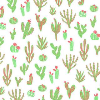 Kaktus wallpaper