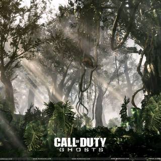 Call of Duty background