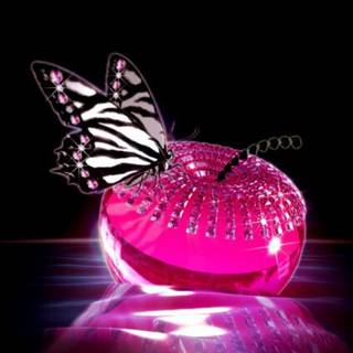 Black and pink butterflies wallpaper