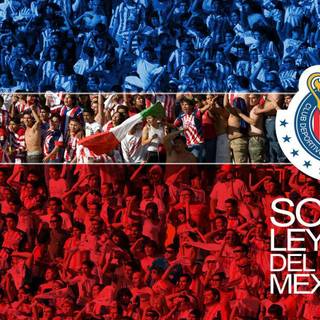 Chivas wallpaper 3d
