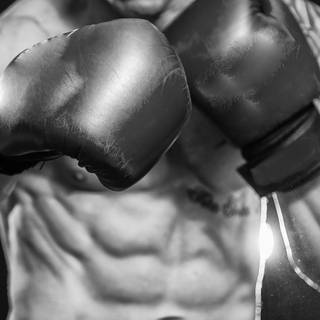 Boxing HD wallpaper
