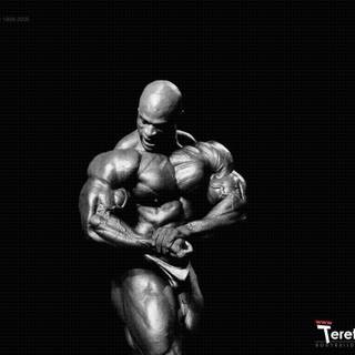 HD wallpaper Ronnie Coleman bodybuilding