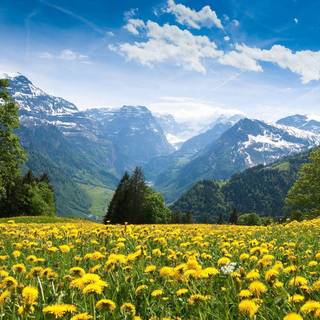 Desktop natural wallpaper