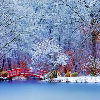 Winter nature wallpaper desktop