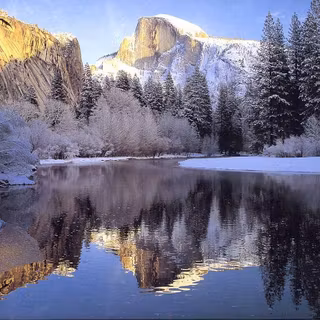 Winter nature wallpaper desktop