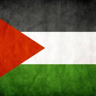 Palestine flag wallpaper