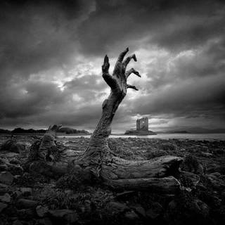 Alchemy gothic wallpaper