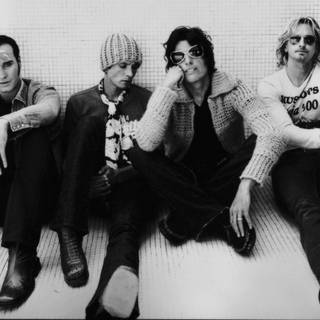 Stone sour wallpaper panda