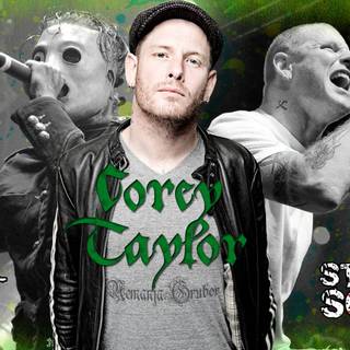 Stone sour wallpaper panda