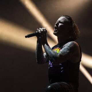 Stone sour wallpaper panda