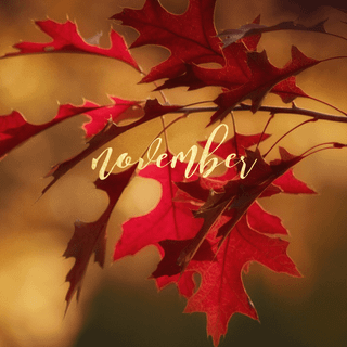 Fall leaf wallpaper for mobile