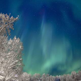 Snow night wallpaper HD