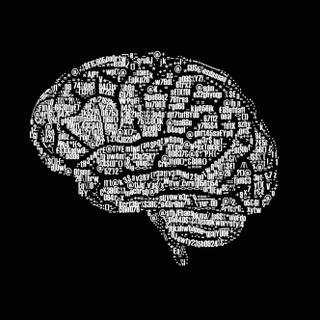 Brain anatomy wallpaper