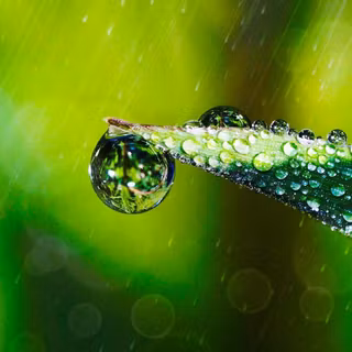 Eye soothing wallpaper