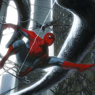 Spiderman wallpaper HD bd