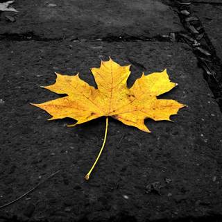 HD wallpaper widescreen 1080p abstract