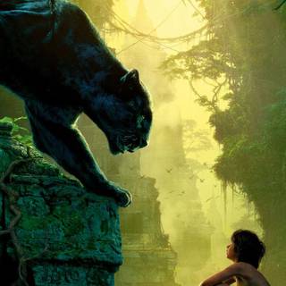 720x1280 HD wallpaper for mobile