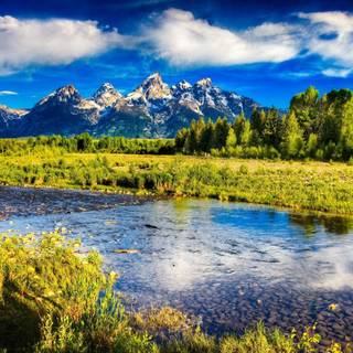 Background sceneries