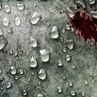 Bloody wallpaper HD