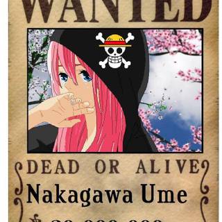 One piece wanted wallpaper