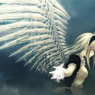 Anime wallpaper angel