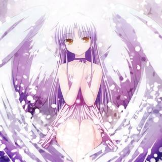 Anime wallpaper angel