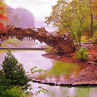 Cool river wallpaper