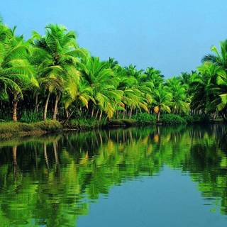 Nature UHD wallpaper