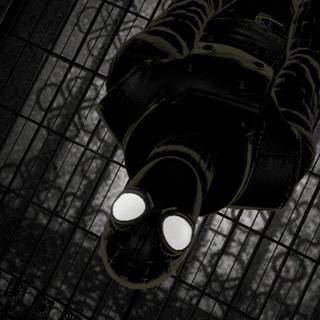 Spider-Man Noir wallpaper
