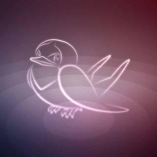 Taillow HD wallpaper