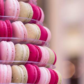Colorful macarons wallpaper