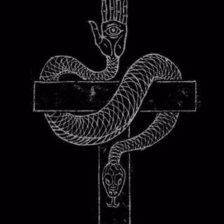 Black snake wallpaper