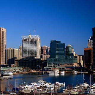 Maryland state wallpaper