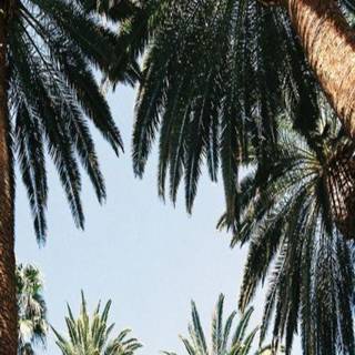 Biological Diversity wallpaper