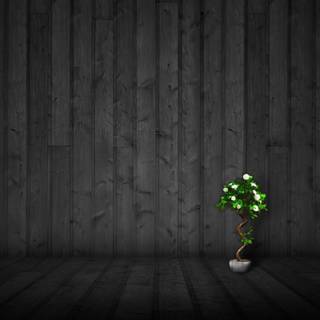 Dark room wallpaper