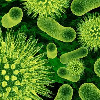 Microbiology wallpaper