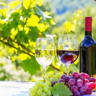 National Wine Day wallpaper