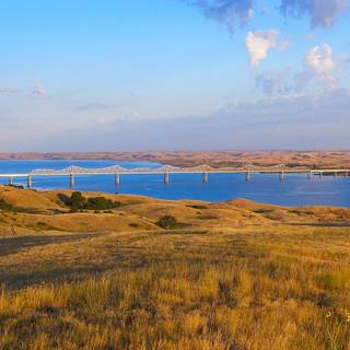 South Dakota flower wallpaper