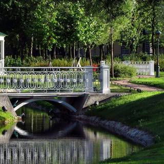 South Dakota flower wallpaper