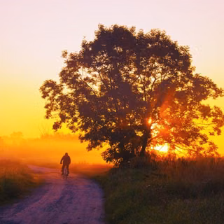 Traveler wallpaper