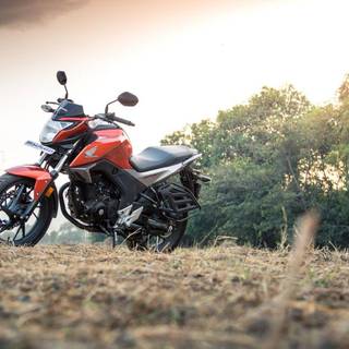 Honda Hornet wallpaper