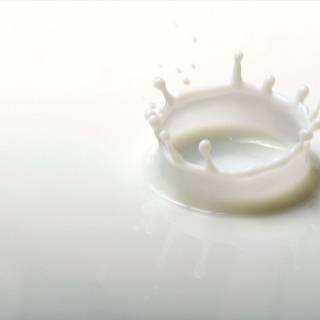 World Milk Day wallpaper