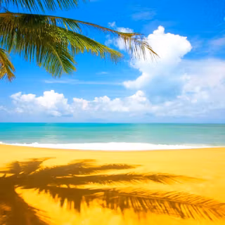 Summer vacations wallpaper